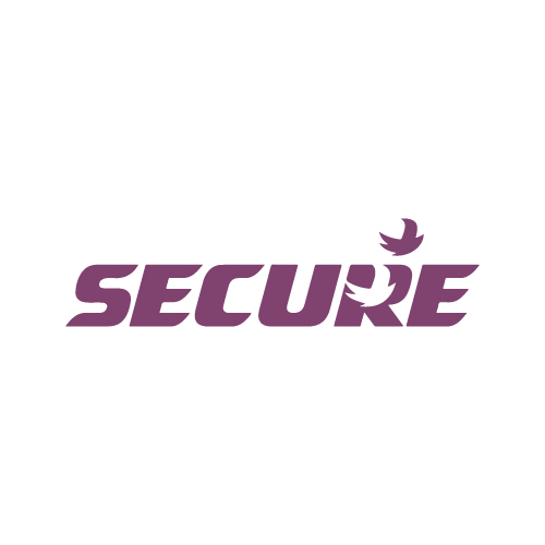 Secure Meters Logo